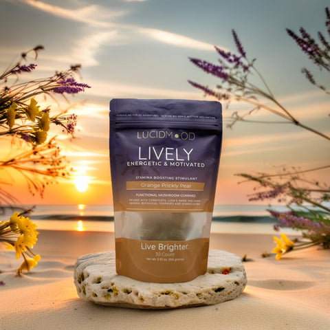 Lucid Dream Wellness Gummies